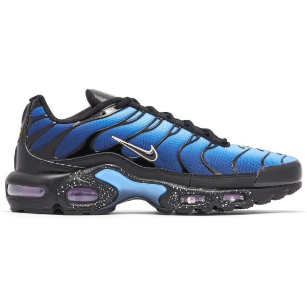 Nike TN Air Max Plus Blue (DV3493-001) голубого цвета