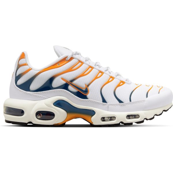 Nike TN Air Max Plus (DV3507-100)  цвета