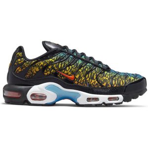 Nike Air Max Plus (DX2665-001)  цвета