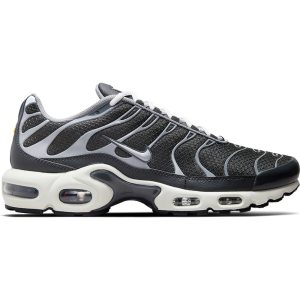 Nike TN Air Max Plus Cool (DZ2655-001) серого цвета