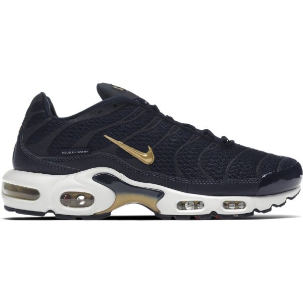 Nike TN Air Max Plus FFF French Football (FB3350-400)  цвета