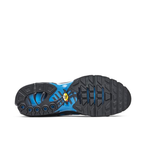 Nike TN Air Max Plus Black Blue (FQ0204-010) черного цвета
