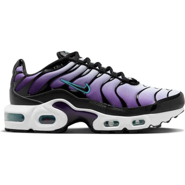 Nike TN Air Max Plus Reverse Grape (FQ2412-500)  цвета