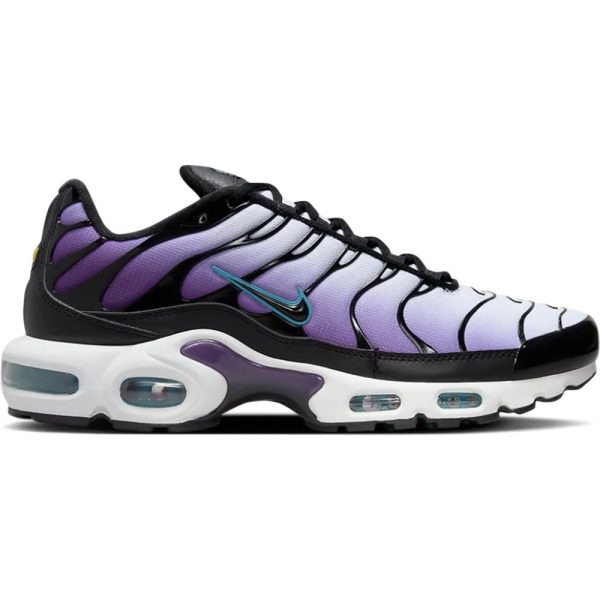 Nike TN Air Max Plus Reverse (FQ2415-500)  цвета