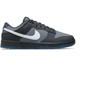 Nike Dunk Low (FV0384-001)  цвета