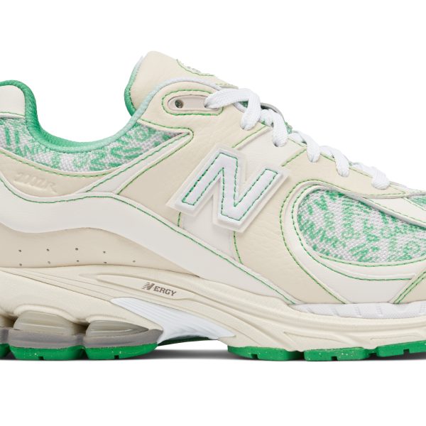 GANNI x New Balance 2002R (M2002RGC)  цвета