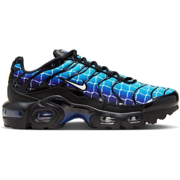 Nike TN Air Max Plus Chain (FQ2405-001)  цвета