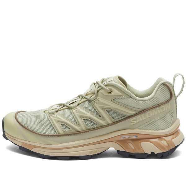 Salomon XT-6 EXPANSE Alfalfa/Shortbread/Aloe Wash (L47445600)  цвета