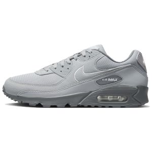 Nike Air Max 90 Wolf Grey Cool-- (FJ4218-002)