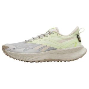 Reebok Floatride Energy 5 Adventure Steely Fog Citrus Glow Cream Stucco (100025746)