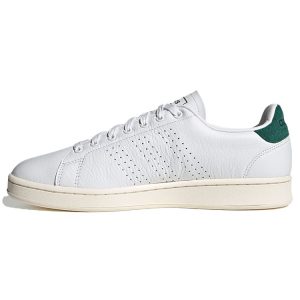 Adidas Advantage White Collegiate Green   Cloud-White (FV8502)