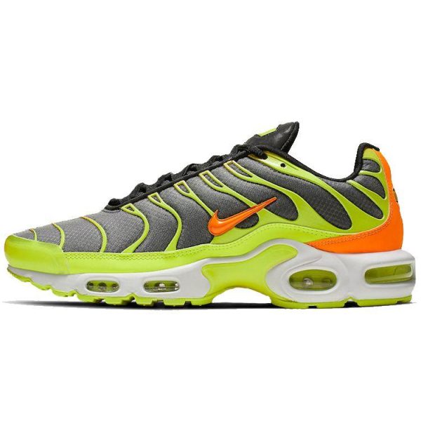 Nike Air Max Plus Color Flip (CI5924-061)