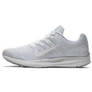 Nike  Winflo 5     -- (AA7406-100)