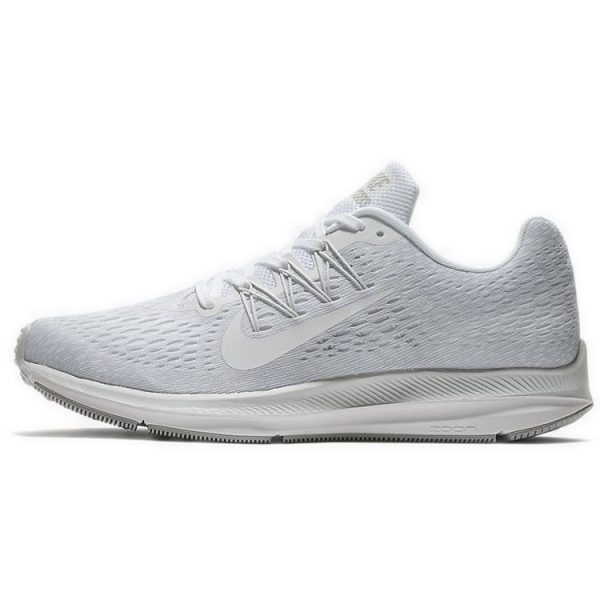 Nike  Winflo 5     -- (AA7406-100)