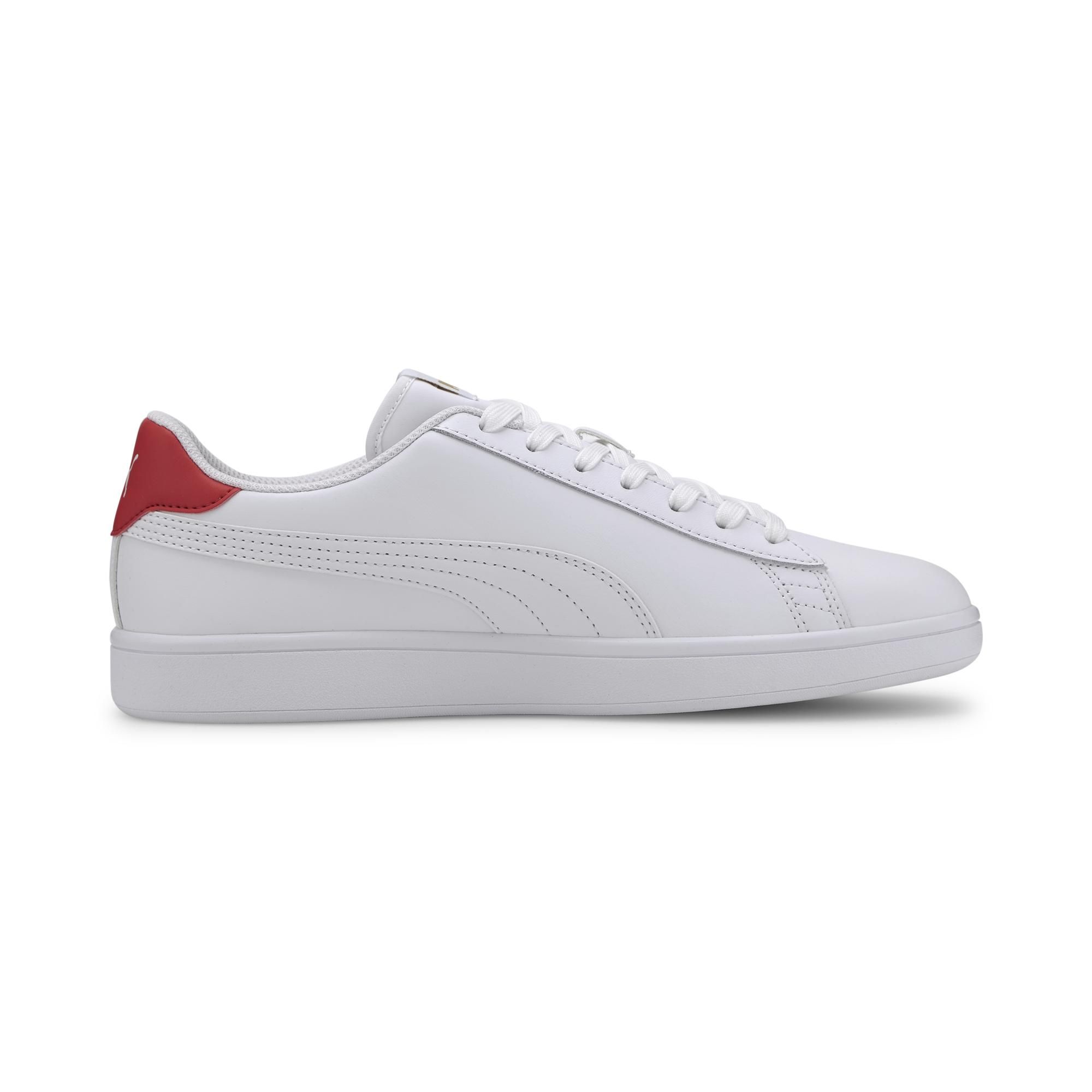 36521517