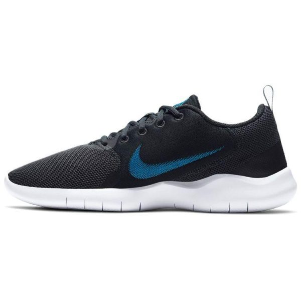 Nike Flex Experience Run 10 Dark Smoke Grey Photo Blue (CI9960-003)