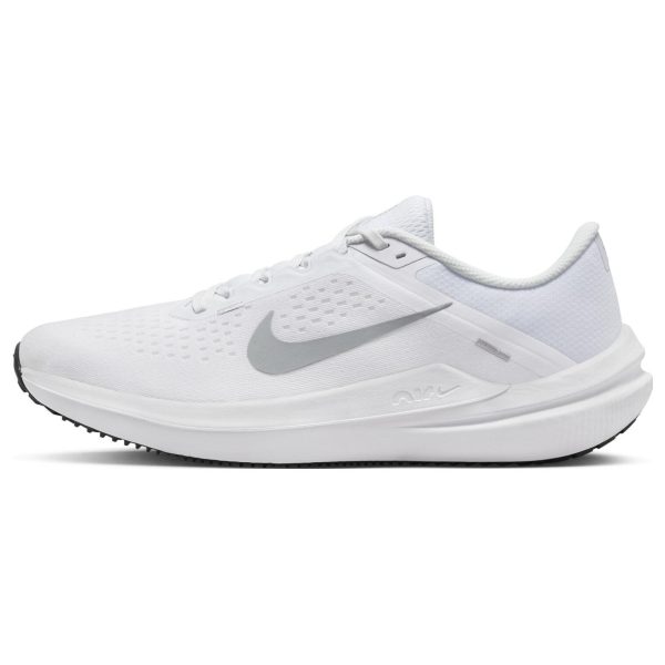 Nike Winflo 10 White Wolf Grey (DV4022-102)