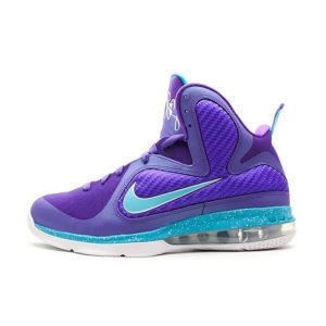 Nike LeBron 9 Summit Lake Hornets  - -- (469764-500)