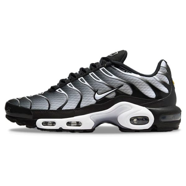 Nike Air Max Plus Black Metallic Silver (DM0032-003)