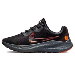 Nike Winflo 8 Shield Bronze Eclipse Redstone Black Total-Orange (DC3727-200)