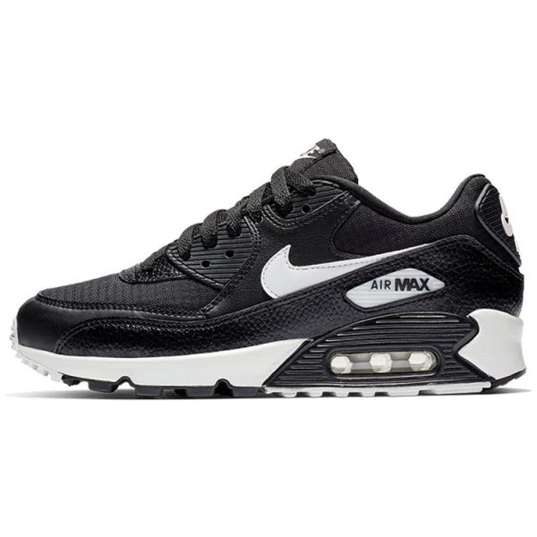 Nike Air Max 90 Summit--- (325213-060)