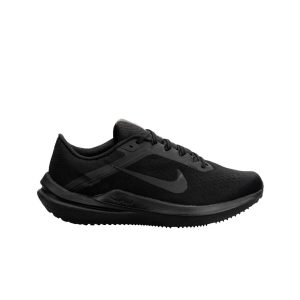 Nike Air Winflo 10 (DV4022-001)