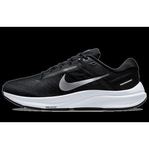 Nike Air Zoom Structure 24 Black Metallic Silver Off-Noir Pure-Platinum (DA8535-002)