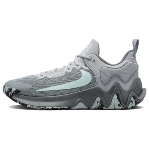 Nike Giannis Immortality 2 Cool Grey Glacier Blue   Wolf-Grey White (DM0825-004)