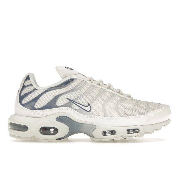 Nike Air Max Plus Ashen Slate White Summit-White Light-Armory-Blue (DZ3671-104)