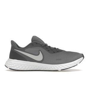 Nike Revolution 5 Cool Grey   - Pure-Platinum (BQ3204-005)