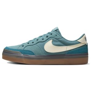 Nike Zoom Pogo Plus SB Noise Aqua Gum  -Abyss Coconut-Milk (DV5469-401)