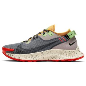 Nike Pegasus Trail 2 GTX Smoke Grey Bucktan College-- (CU2018-002)