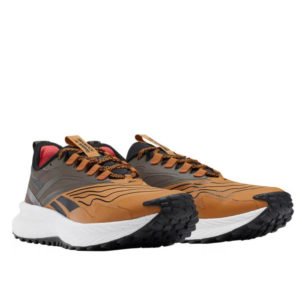 Reebok Floatride Energy 5 Adventure Cordura (100033457-10)