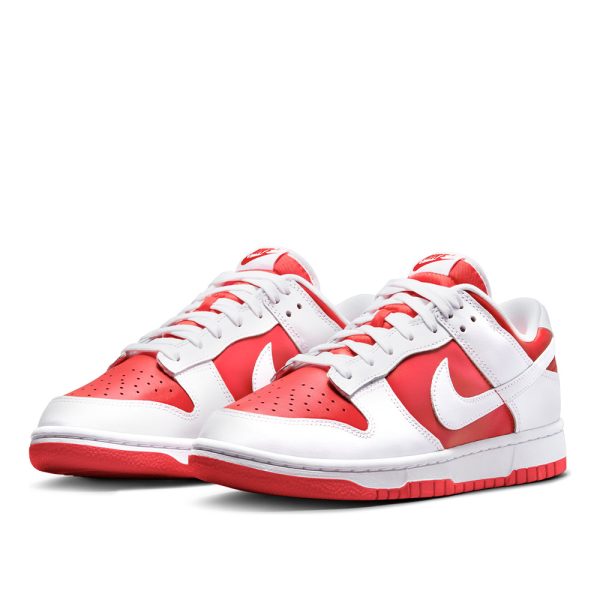 Nike Dunk Low Retro (DD1391-600)