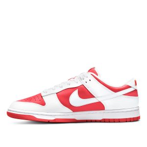 Nike Dunk Low Retro (DD1391-600)