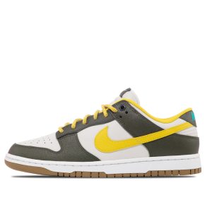 Nike Dunk Low Retro (FV3629-371)