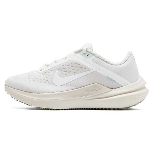 Nike Air Winflo 10 Phantom (FQ6872-011)