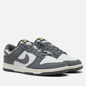 кроссовки Nike Dunk Low Next Nature (FZ4621-001) серого цвета