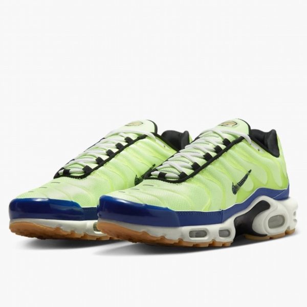 Nike Air Max Plus TN (DZ0480-300)