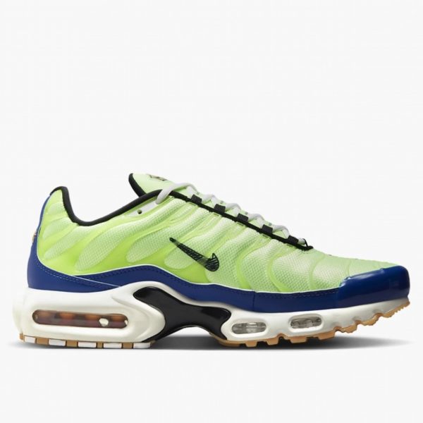 Nike Air Max Plus TN (DZ0480-300)