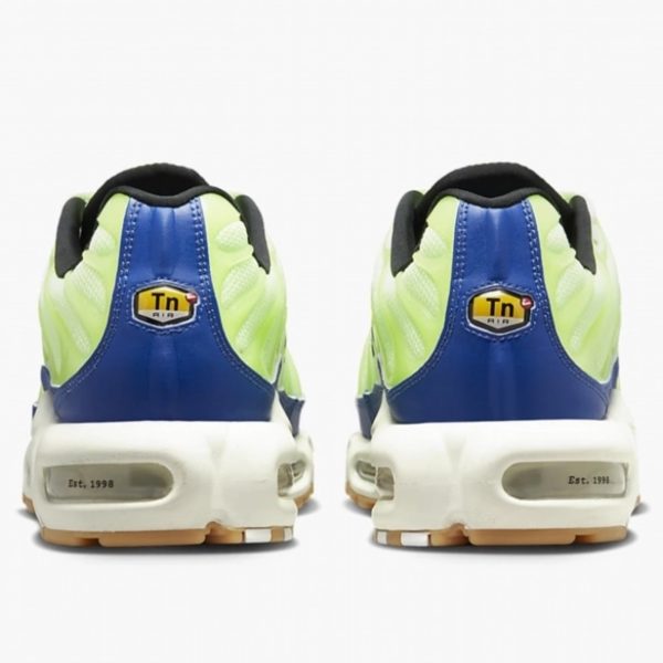 Nike Air Max Plus TN (DZ0480-300)