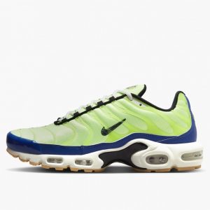 Nike Air Max Plus TN (DZ0480-300)