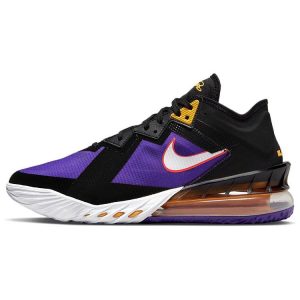 Nike LeBron 18 Low ACG Terra (CV7562-00341)