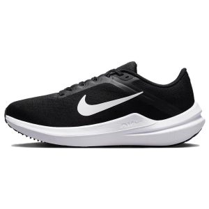 Nike Winflo 10 (DV4023-00342)