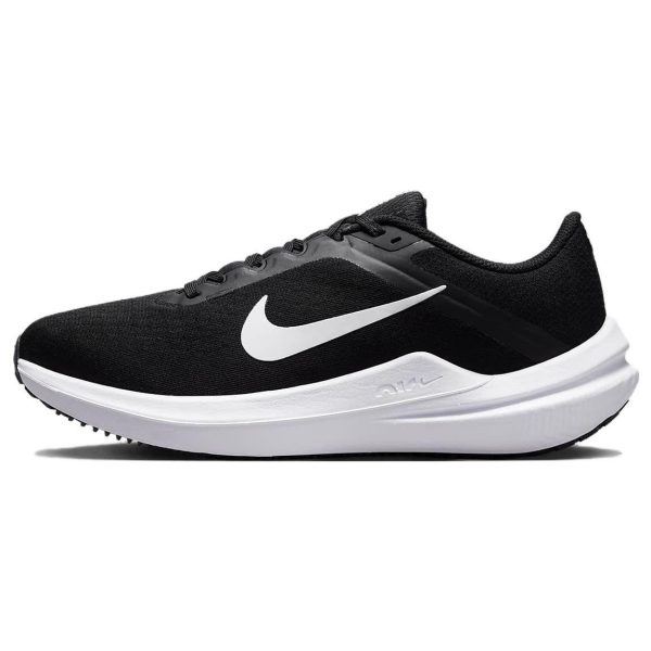 Nike Winflo 10 (DV4023-00342)