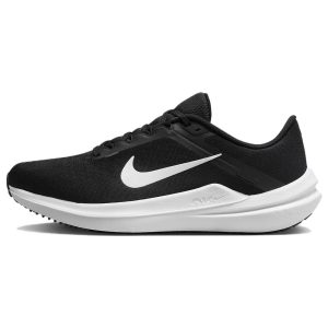 Nike Winflo 10 - (DV4022-00344)