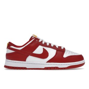 Nike Dunk Low Gym (DD1391-60244)