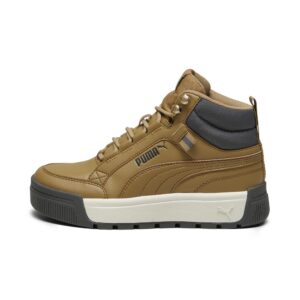 PUMA Tarrenz Sb Iii Jr (39444302)  коричневого цвета