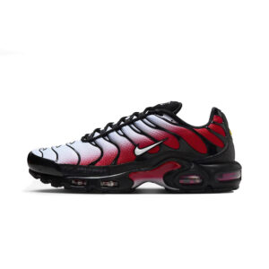 Nike Air Max Plus (DM0032-017) мультиколор цвета