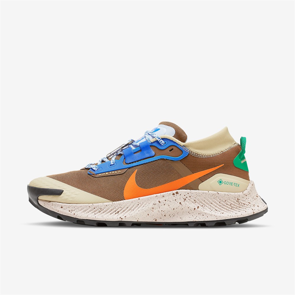 Nike Pegasus Trail 3 Gtx Es (DR0137-200) мультиколор цвета Nike Pegasus Trail 3 Gtx Es (DR0137-200) мультиколор цвета